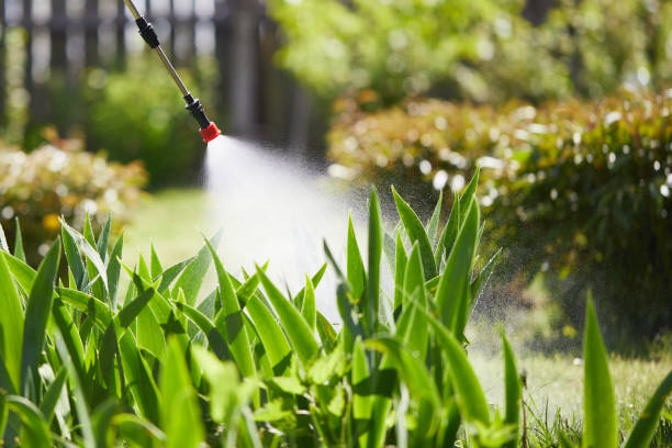 24/7 Emergency Mosquito Control experts in Plummer, ID