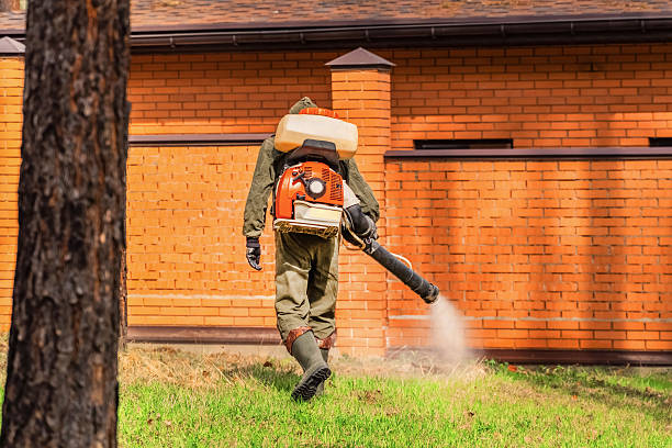 Top rated local Mosquito Control specialists in Plummer, ID